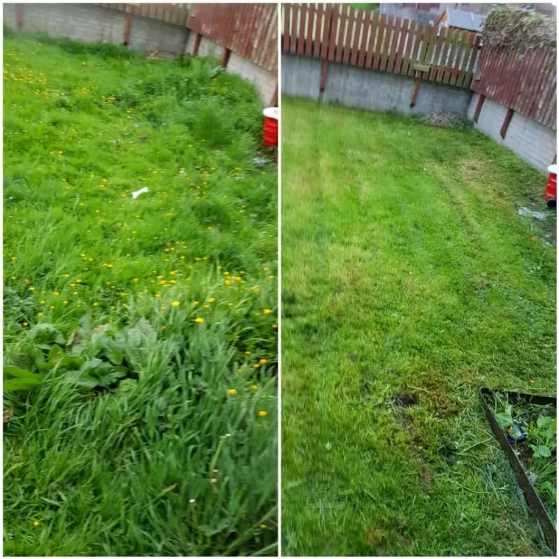 Top-rated lawn care service in Baltimore, MD - Mejia’s Landscaping Services