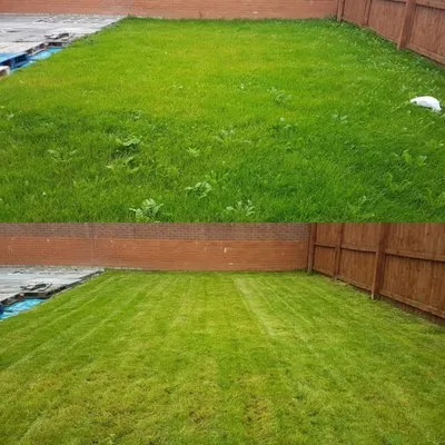 Mejia’s Landscaping Services Logo