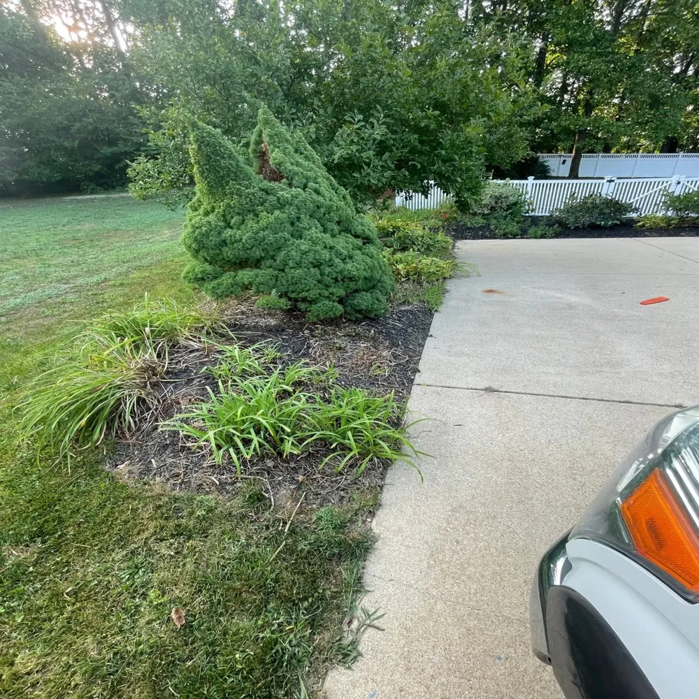 Local outdoor landscaping experts serving Bridgewater, VA - Mejia’s Landscaping Services