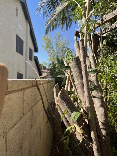 Professional landscape design in Las Vegas, NV by Mejia’s Landscaping Solutions