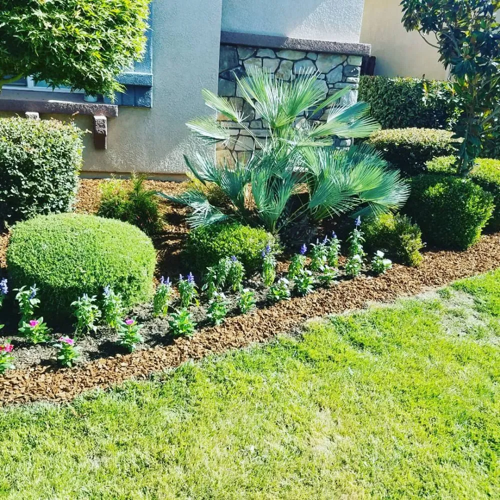 Trusted outdoor landscaping for homes in Porterville, CA by Mejias Lawn Service
