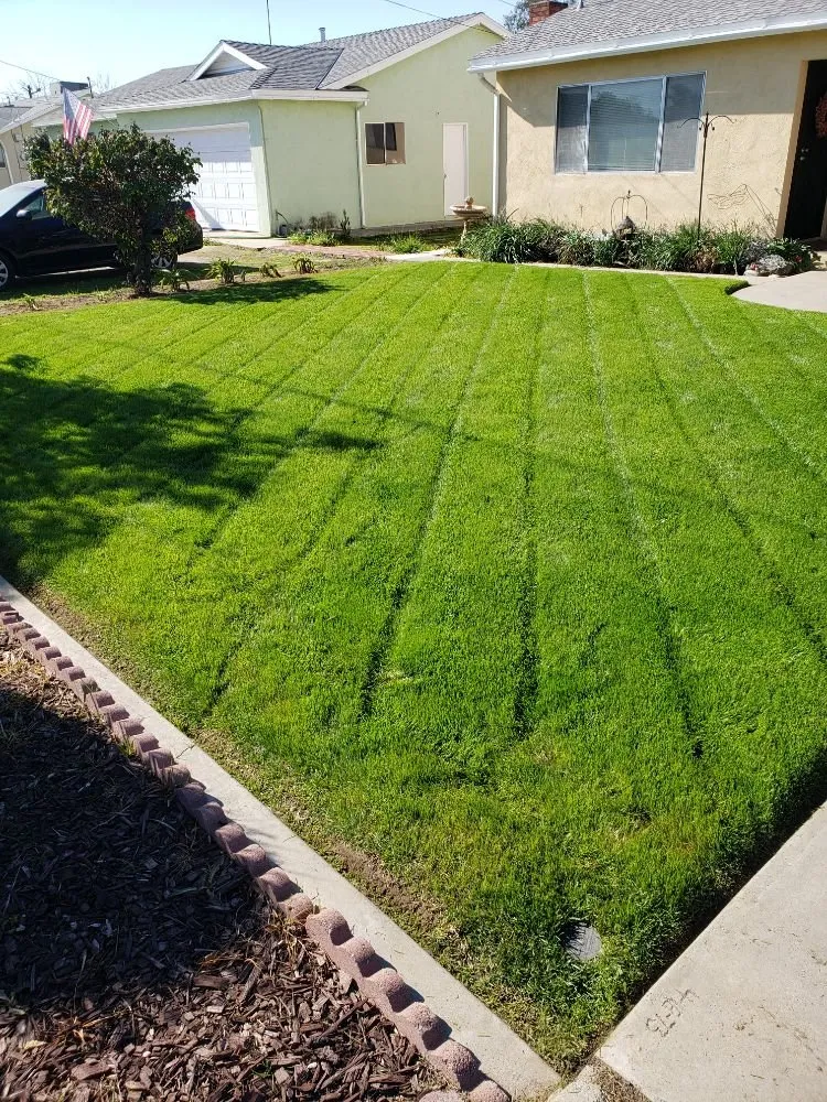 Local yard maintenance experts serving Porterville, CA - Mejias Lawn Service