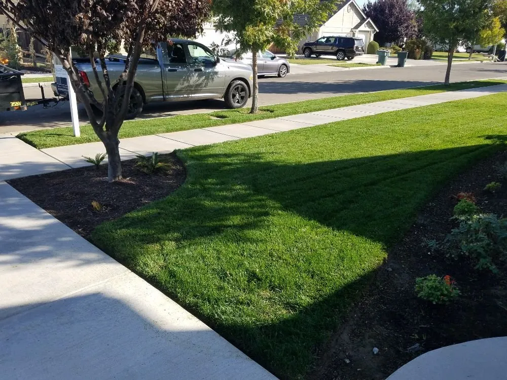 Trusted lawn mowing service in Porterville, CA - Mejias Lawn Service