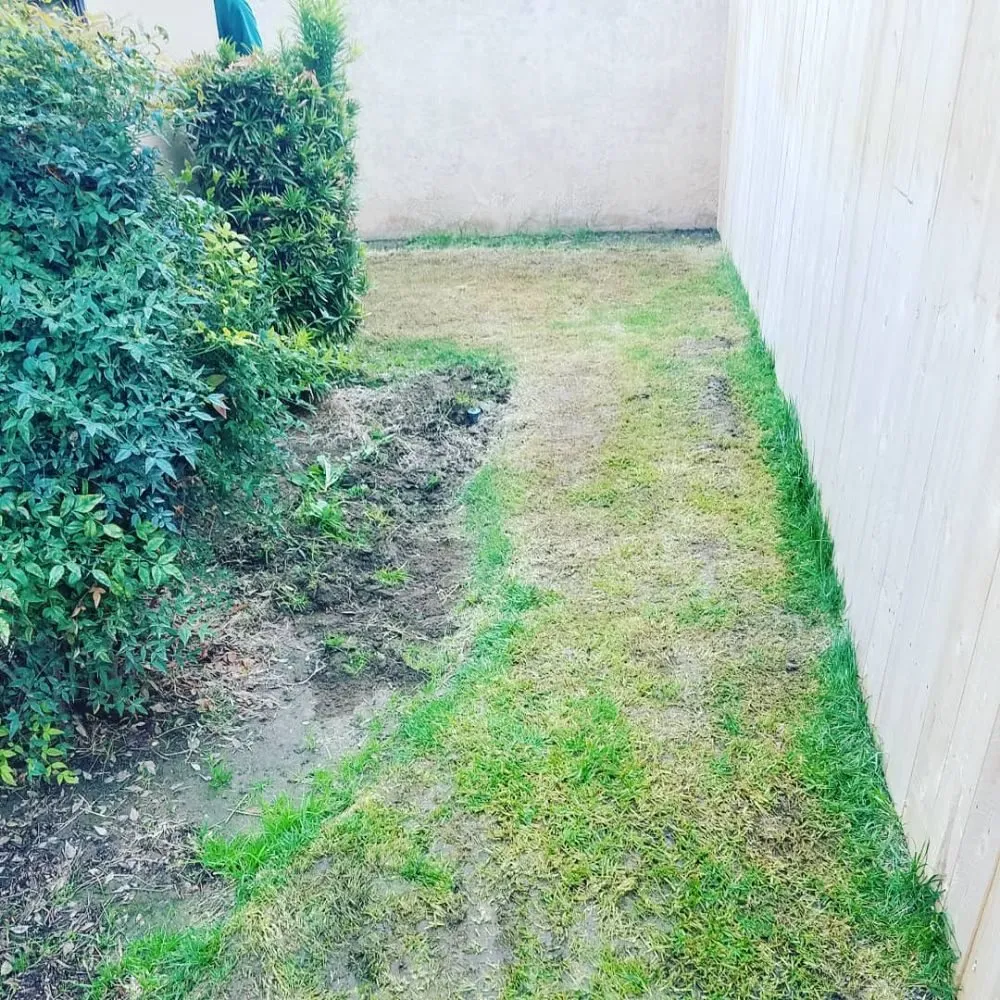 Local lawn mowing service for beautiful yards across Porterville, CA - Mejias Lawn Service