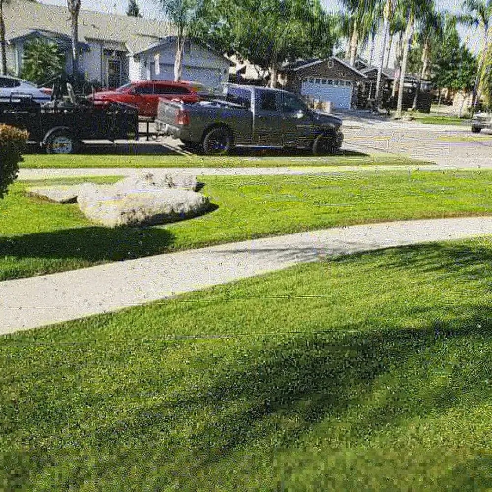Reliable lawn care service for residential properties in Porterville, CA by Mejias Lawn Service