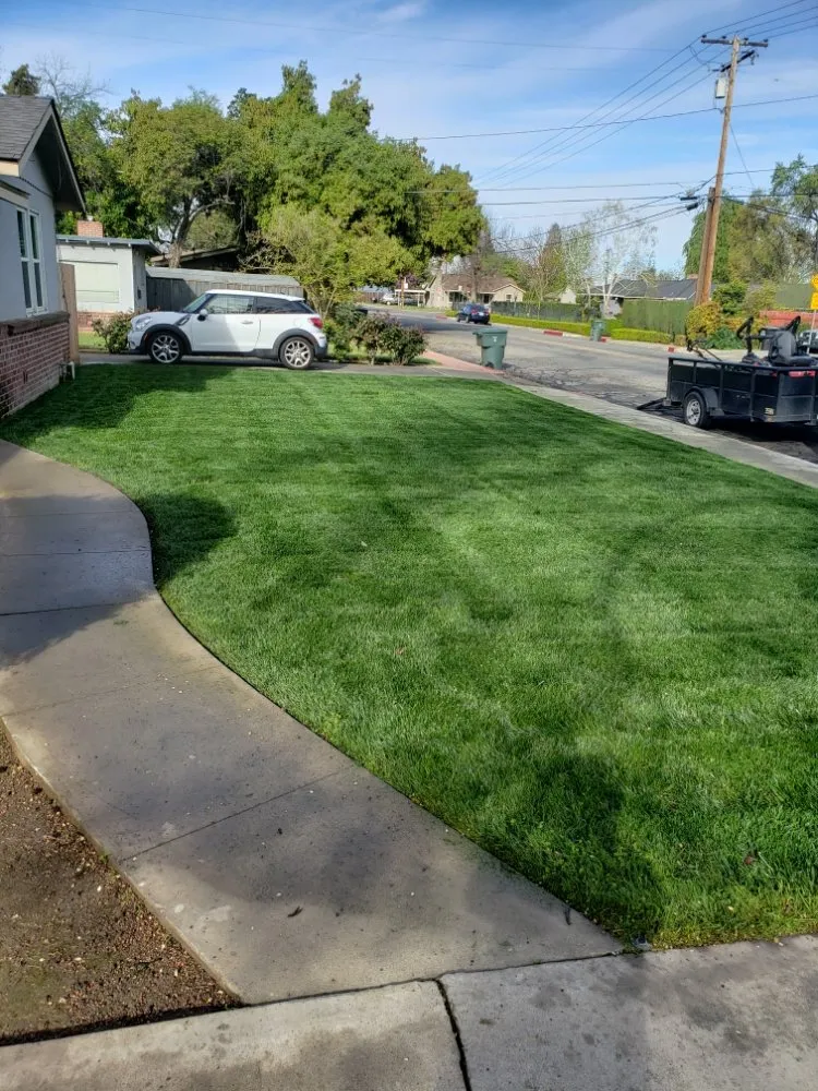 Expert yard maintenance experts serving Porterville, CA - Mejias Lawn Service