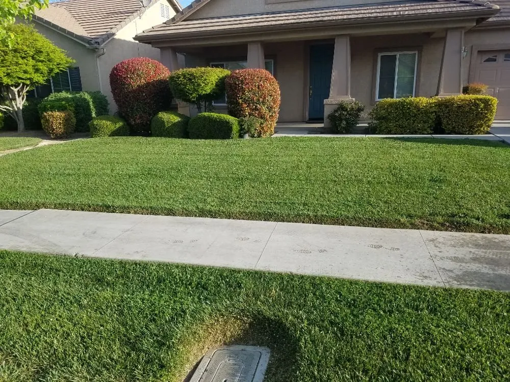 Top-rated lawn mowing service with custom design across Porterville, CA - Mejias Lawn Service