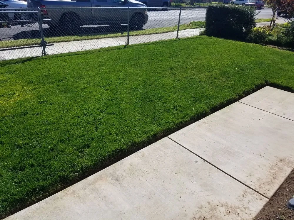 Top-rated garden landscaping for beautiful yards across Porterville, CA - Mejias Lawn Service