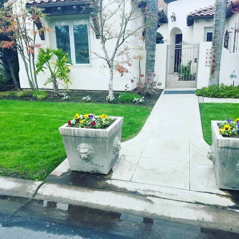 Expert yard cleanup service with custom design in Porterville, CA by Mejias Lawn Service