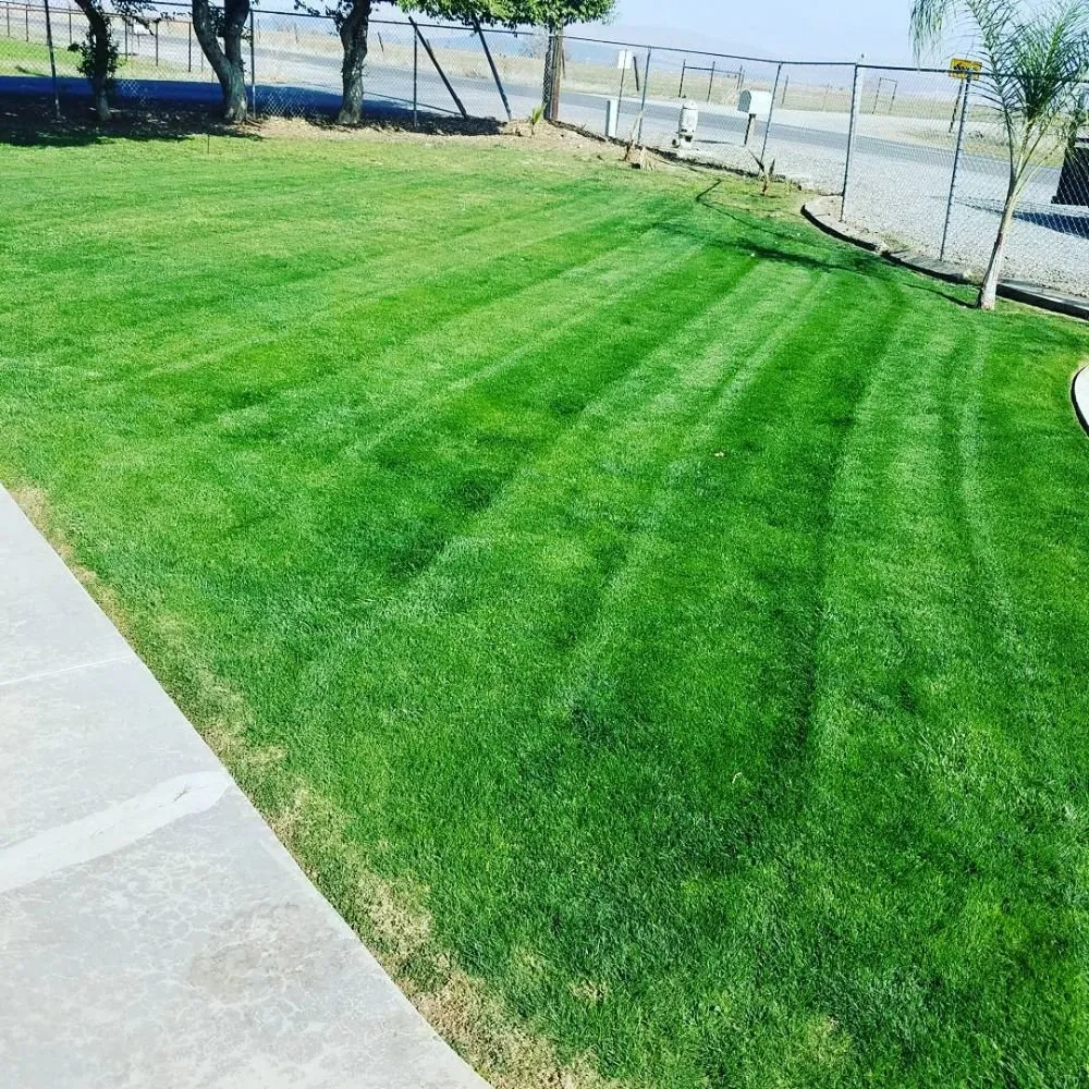 Expert yard maintenance in Porterville, CA by Mejias Lawn Service