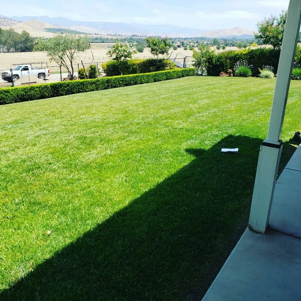 Expert landscape installation for outdoor upgrades in Porterville, CA by Mejias Lawn Service
