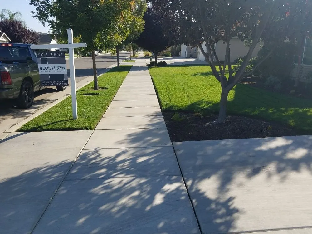 Custom yard maintenance for year-round maintenance across Porterville, CA - Mejias Lawn Service