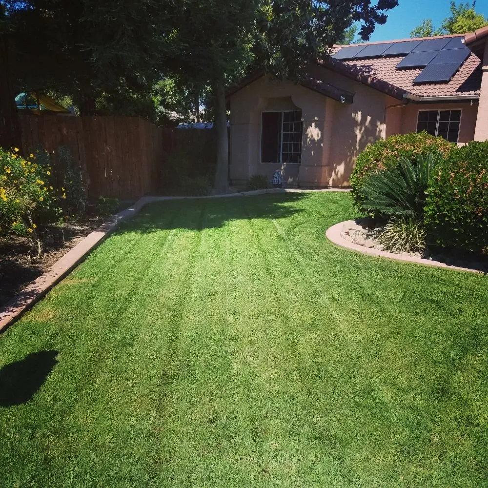 Professional landscaping services for homes across Porterville, CA - Mejias Lawn Service