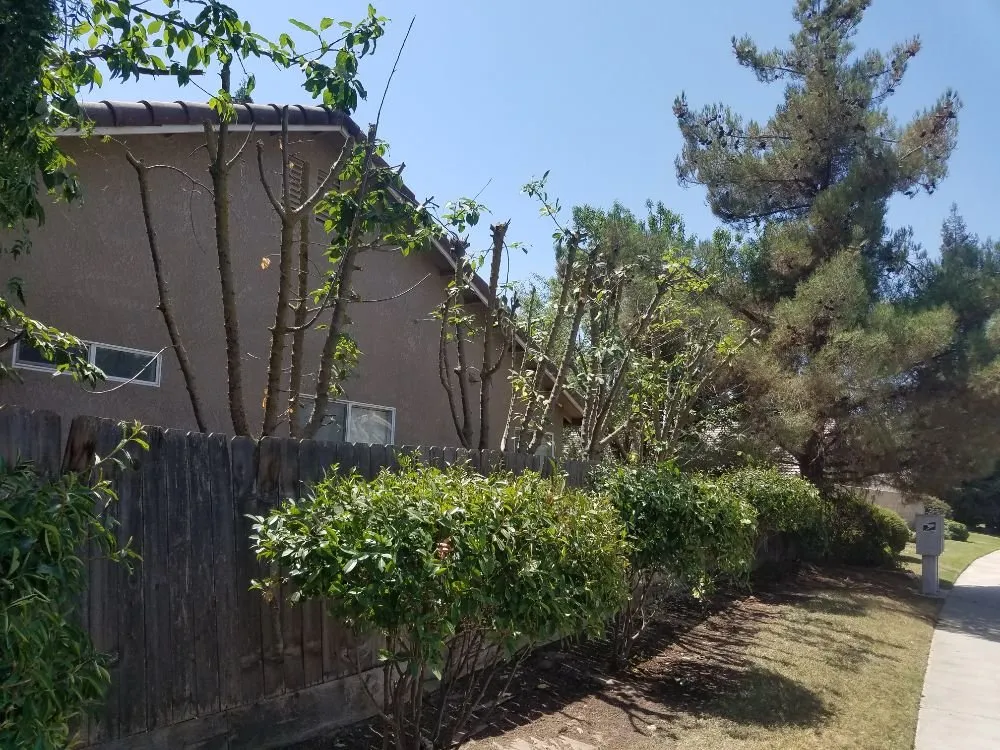 Reliable landscape design experts serving Porterville, CA - Mejias Lawn Service