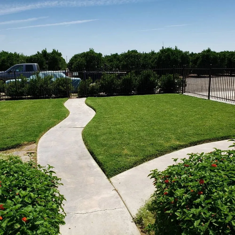 Professional landscaping services for homes across Porterville, CA - Mejias Lawn Service