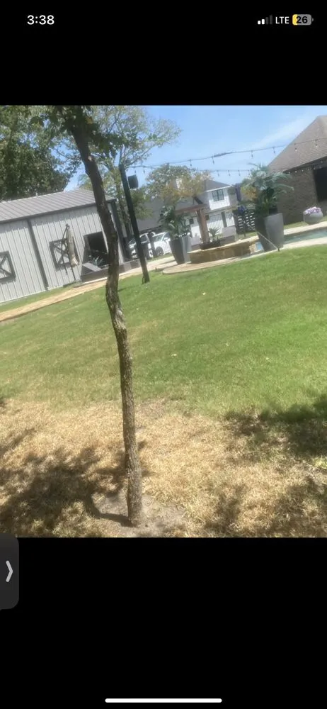 Top-rated yard cleanup service in Royse City, TX by Mejias Legacy Landscaping