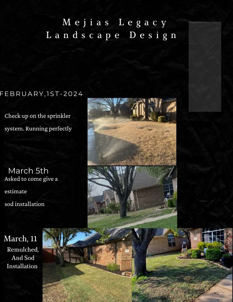 Affordable landscape installation in Royse City, TX by Mejias Legacy Landscaping
