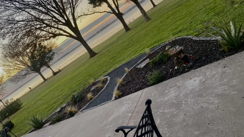 Custom yard cleanup service in Royse City, TX - Mejias Legacy Landscaping