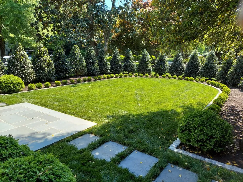 Trusted outdoor landscaping experts serving Glen Allen, VA - Mejia&Son Landscaping&Hardscaping