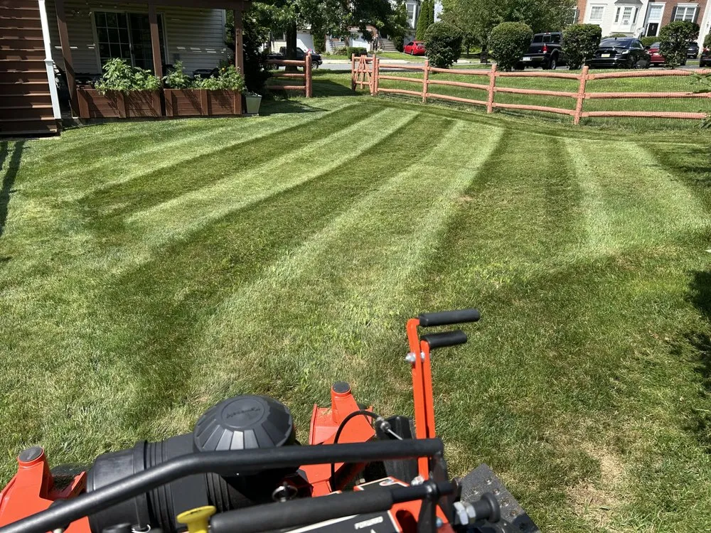 Reliable yard cleanup service for homes across Coplay, PA - MEK Property Solutions