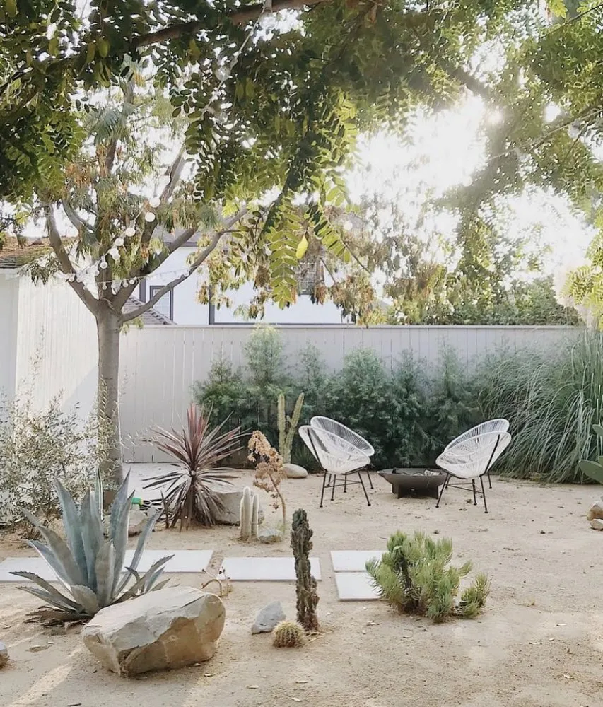 Expert yard cleanup service experts serving Redlands, CA - Mekasa Landscaping