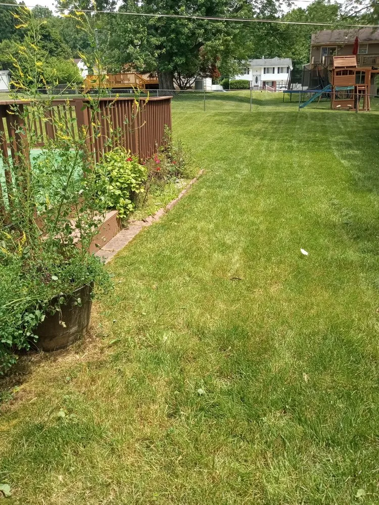 Reliable garden landscaping with custom design across Baltimore, MD - Mela landscaping