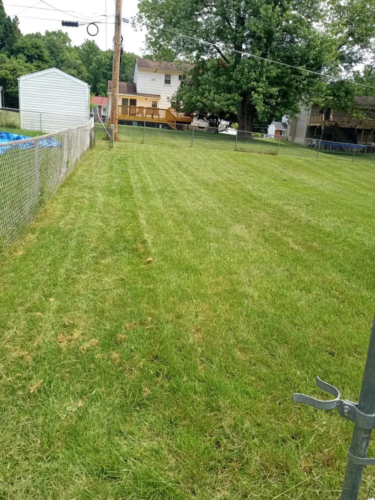 Top-rated landscape installation in Baltimore, MD - Mela landscaping