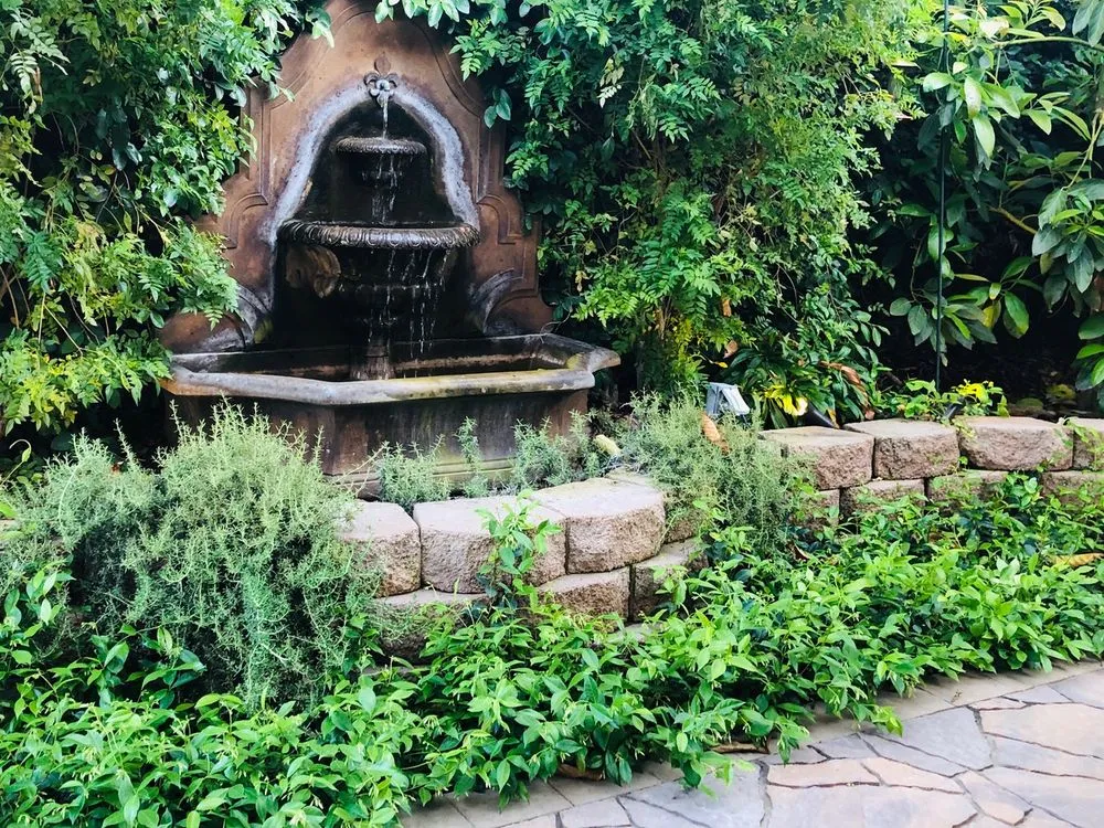 Professional yard cleanup service in Irvine, CA by Melanie Foster Design