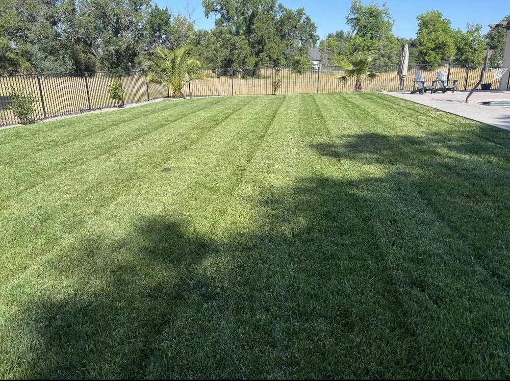 Custom lawn care service for homes across Redding, CA - Melby’s Landscaping