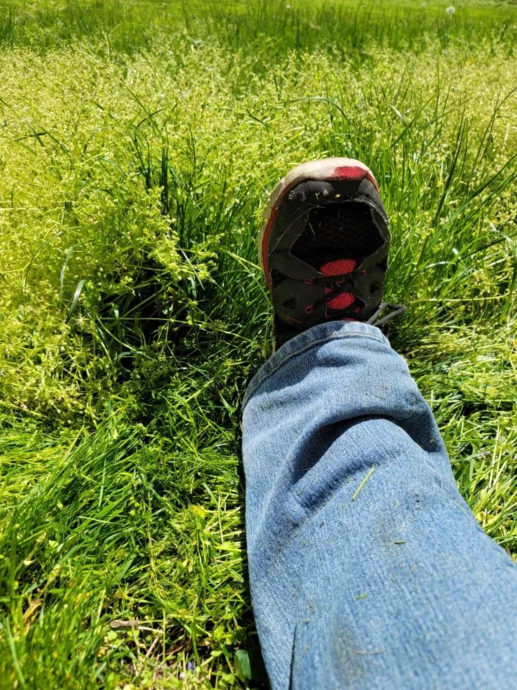 Local garden landscaping in Melcher Dal, IA by Melcher Mann Mowing