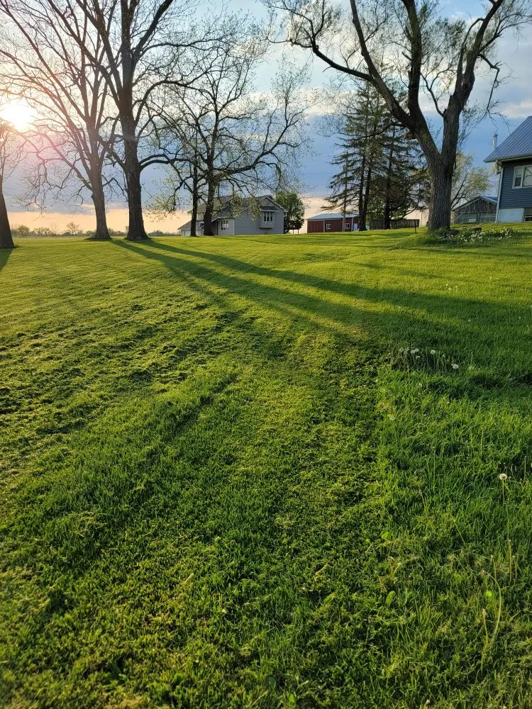 Reliable outdoor landscaping experts serving Melcher Dal, IA - Melcher Mann Mowing
