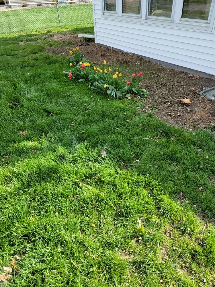 Reliable landscape design with custom design in Melcher Dal, IA by Melcher Mann Mowing