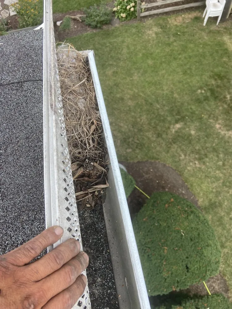 Custom lawn care service experts serving Steger, IL - Melcos Lawn Care Service