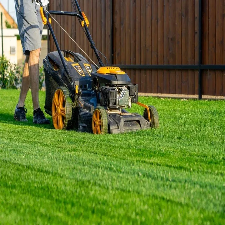 Professional landscape design in Des Plaines, IL - Melecio Landscaping