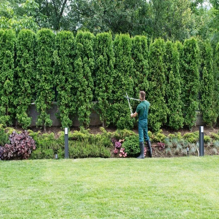 Trusted yard cleanup service in Des Plaines, IL by Melecio Landscaping