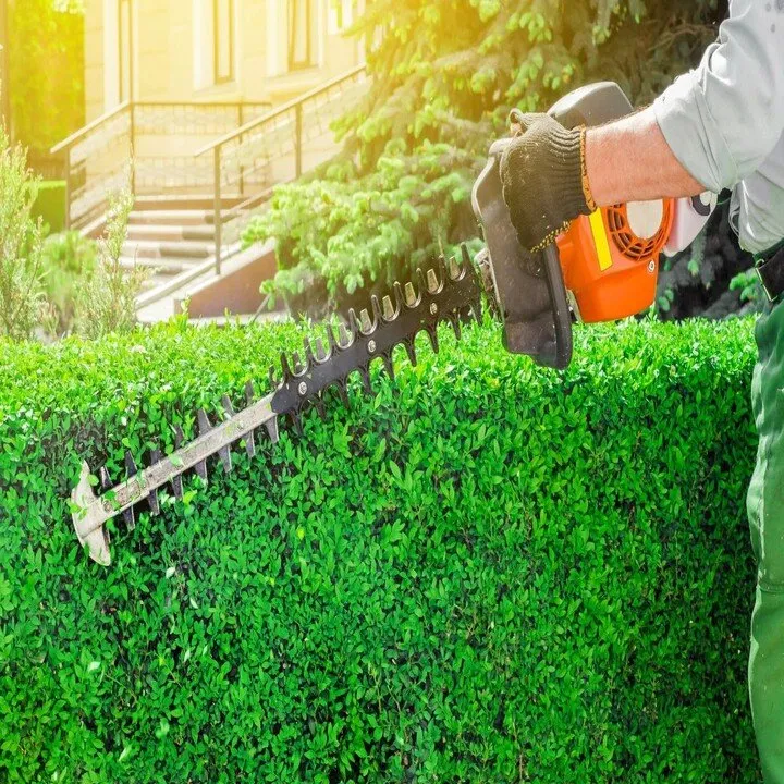 Reliable outdoor landscaping in Des Plaines, IL by Melecio Landscaping