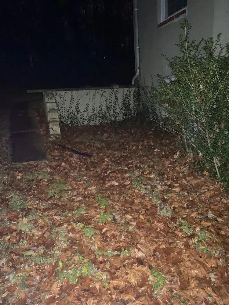 Professional landscaping services experts serving Glenn Dale, MD - Melecio’s Landscaping and Construction