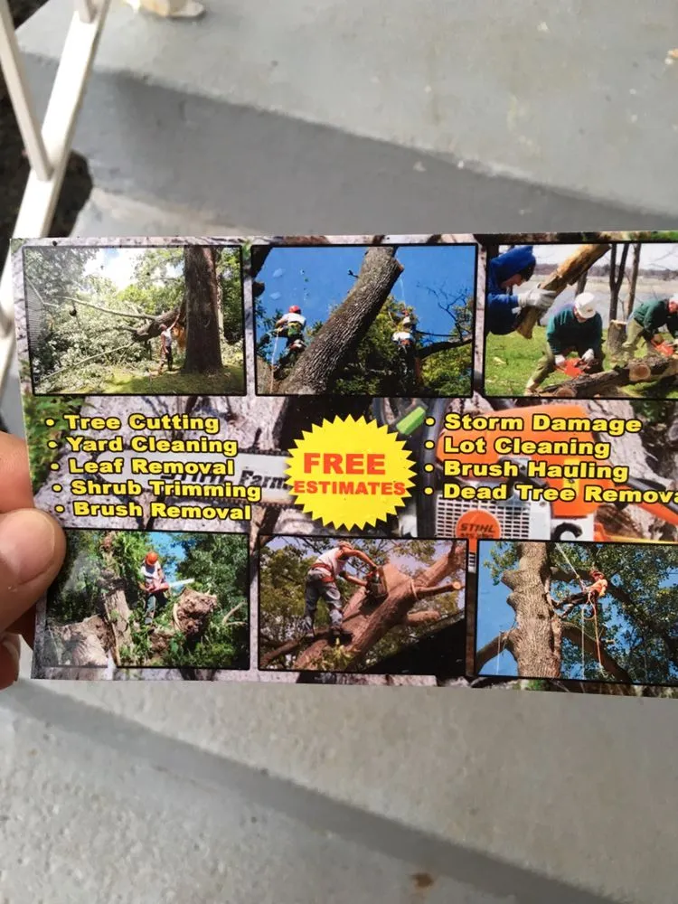 Expert lawn care service for beautiful yards across Glenn Dale, MD - Melecio’s Landscaping and Construction