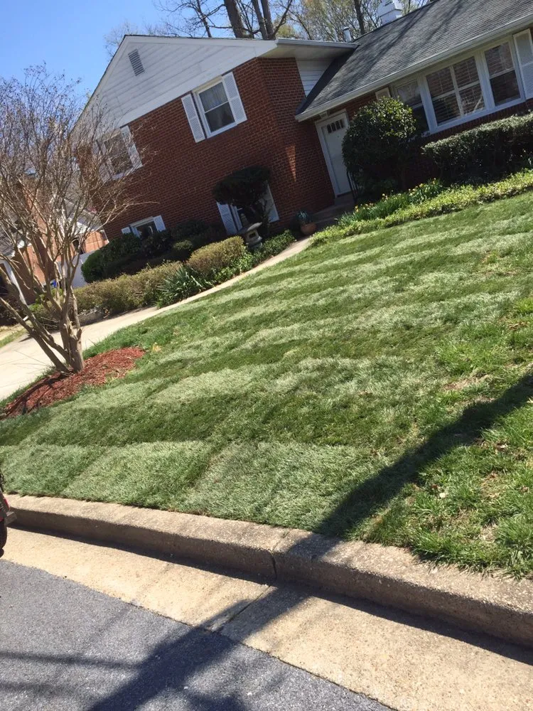 Top-rated landscape design for beautiful yards in Glenn Dale, MD by Melecio’s Landscaping and Construction