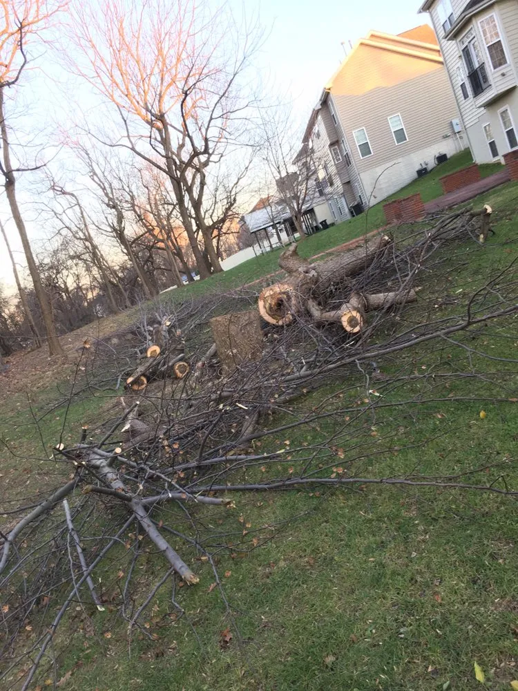 Reliable landscape design near you in Glenn Dale, MD by Melecio’s Landscaping and Construction