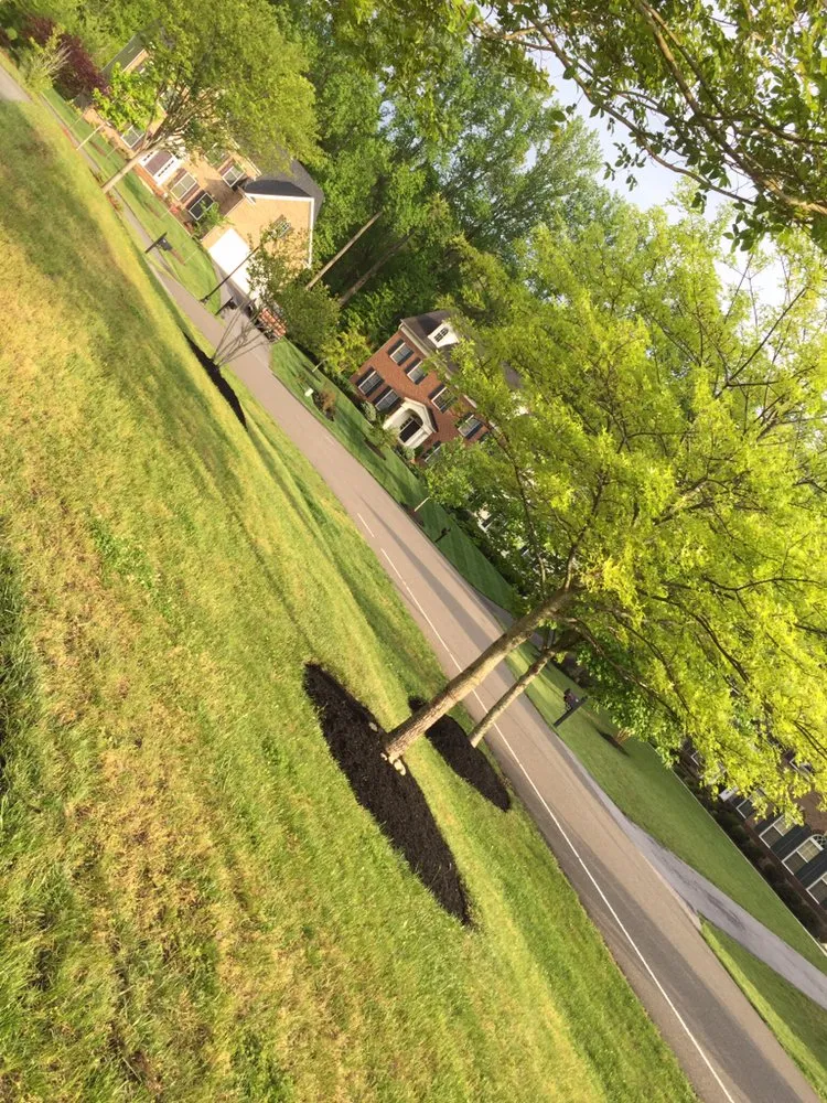 Custom yard maintenance in Glenn Dale, MD by Melecio’s Landscaping and Construction