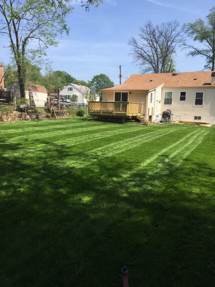 Expert yard cleanup service in Glenn Dale, MD - Melecio’s Landscaping and Construction