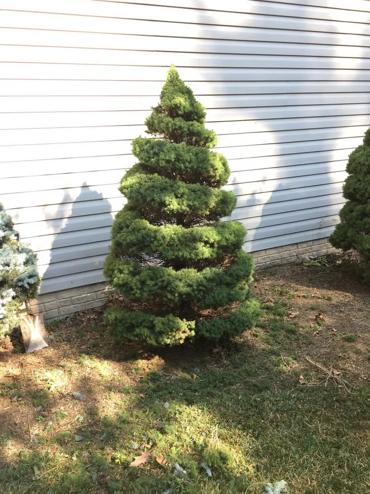 Expert landscaping services in Glenn Dale, MD - Melecio’s Landscaping and Construction