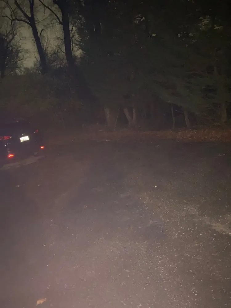 Top-rated landscape installation for beautiful yards across Glenn Dale, MD - Melecio’s Landscaping and Construction