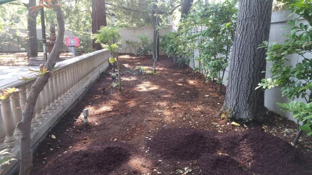 Top-rated landscape design in Manteca, CA by Melek Landscape Management