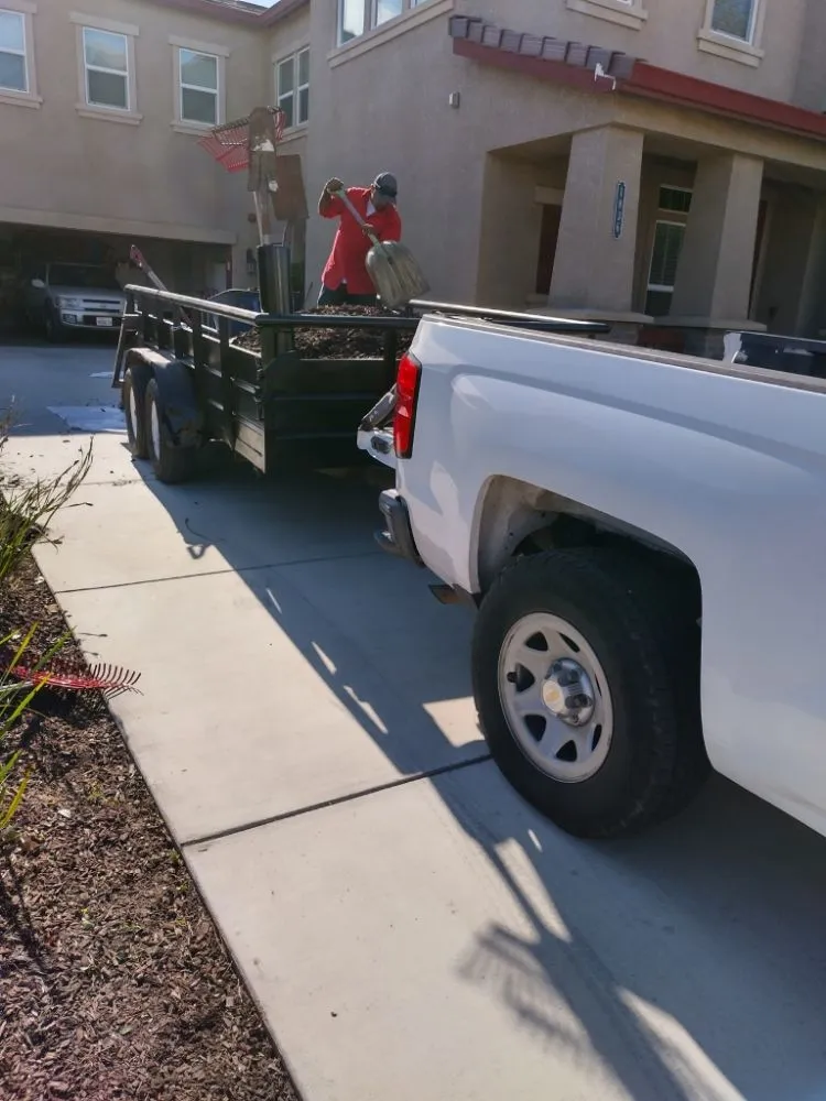 Affordable landscaping services in Manteca, CA - Melek Landscape Management