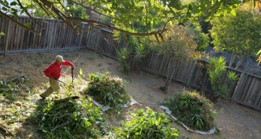 Local yard maintenance in Manteca, CA by Melek Landscape Management