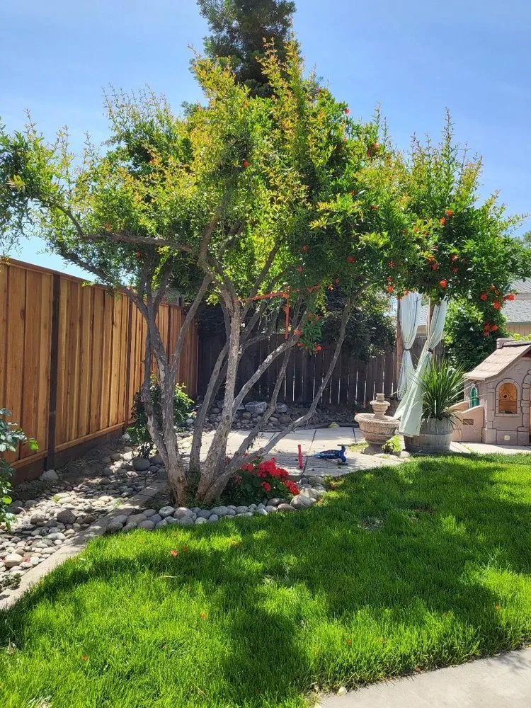 Top-rated lawn mowing service experts serving Manteca, CA - Melek Landscape Management