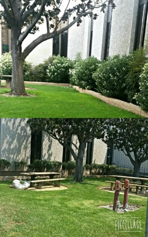 Trusted landscaping services for residential properties across Manteca, CA - Melek Landscape Management