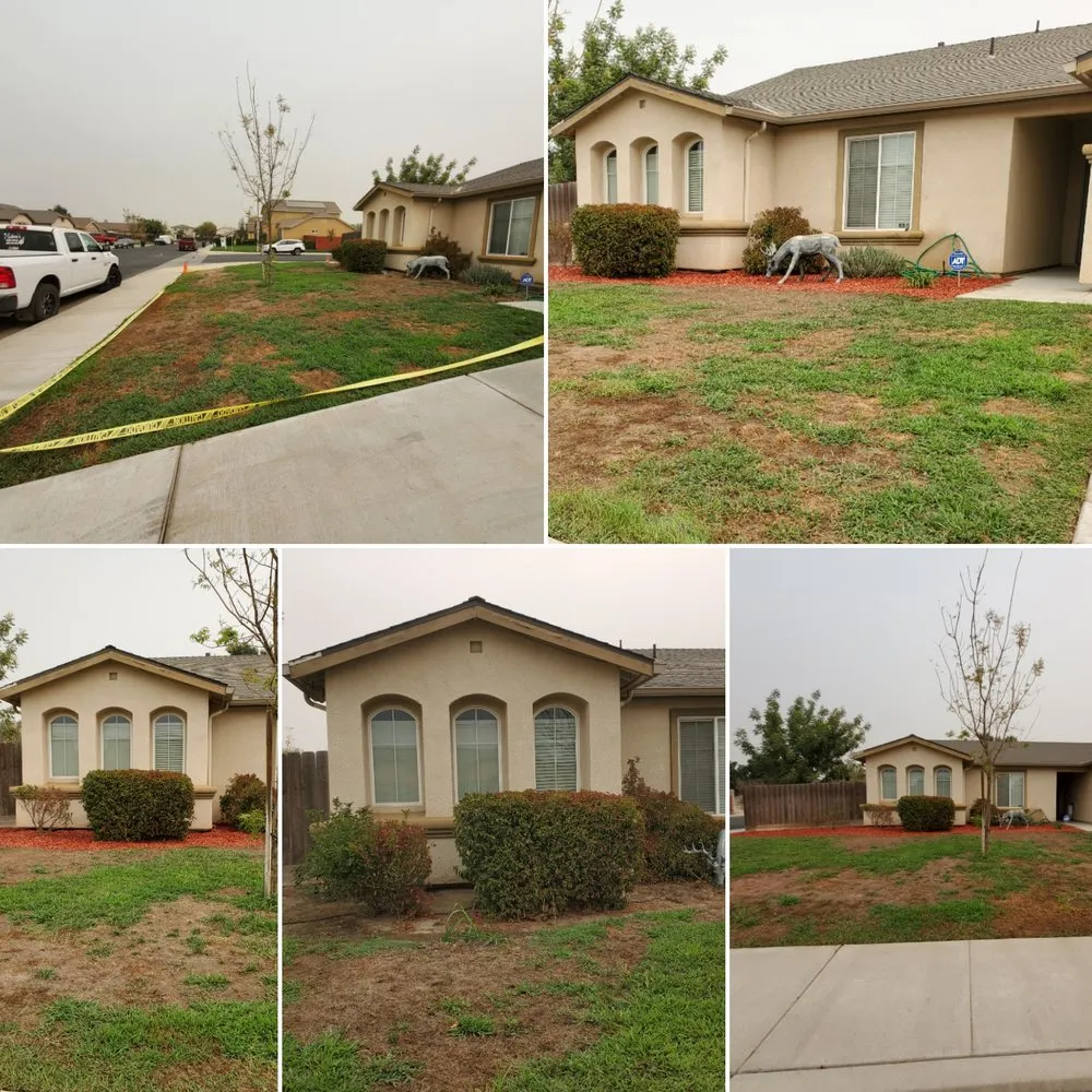 Trusted landscaping services experts serving Lemoore, CA - Melena's Complete Landscape
